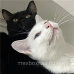 Avatar de Florencia Armenta